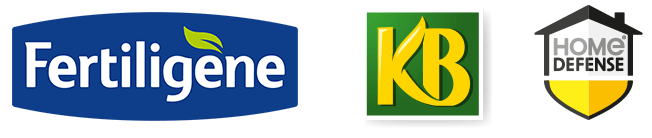 Accueil